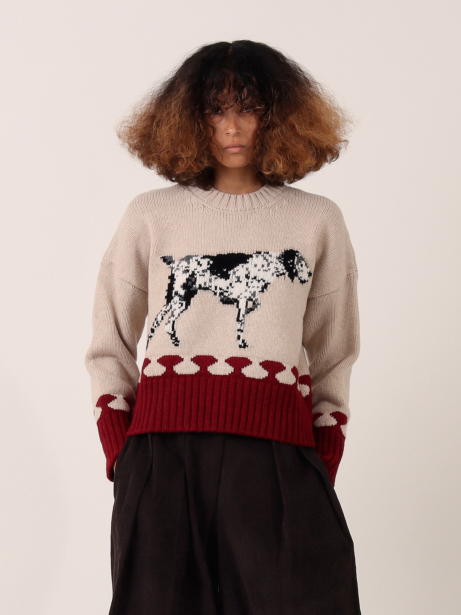 Pointer Sweater