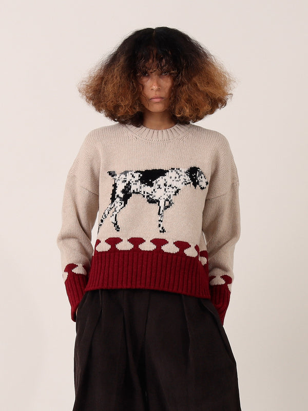 Pointer Sweater