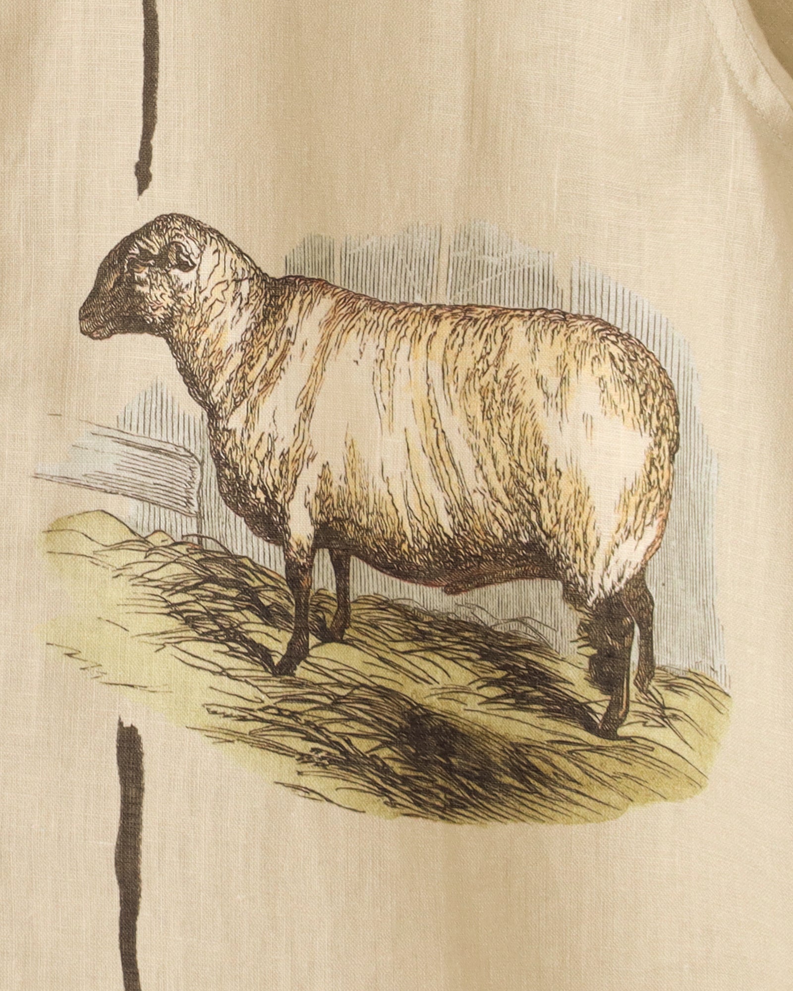 'Lancashire' Sheep Shirt