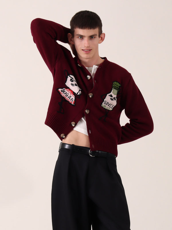 Sugar & Spice Cardigan alternate view